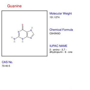 > </div>
<div class=